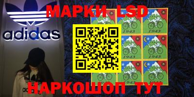 сатива Камышлов