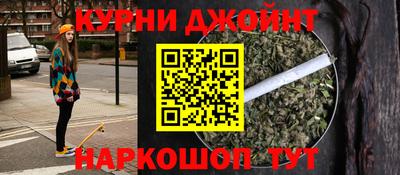 сатива Камышлов