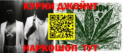 сатива Камышлов