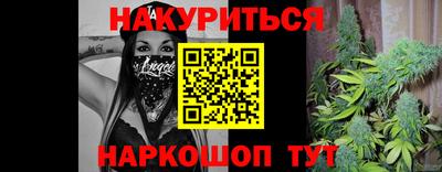 сатива Камышлов