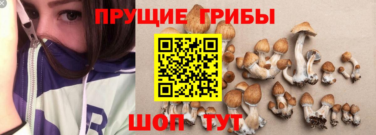 Псилоцибиновые грибы MAGIC MUSHROOMS Кумертау